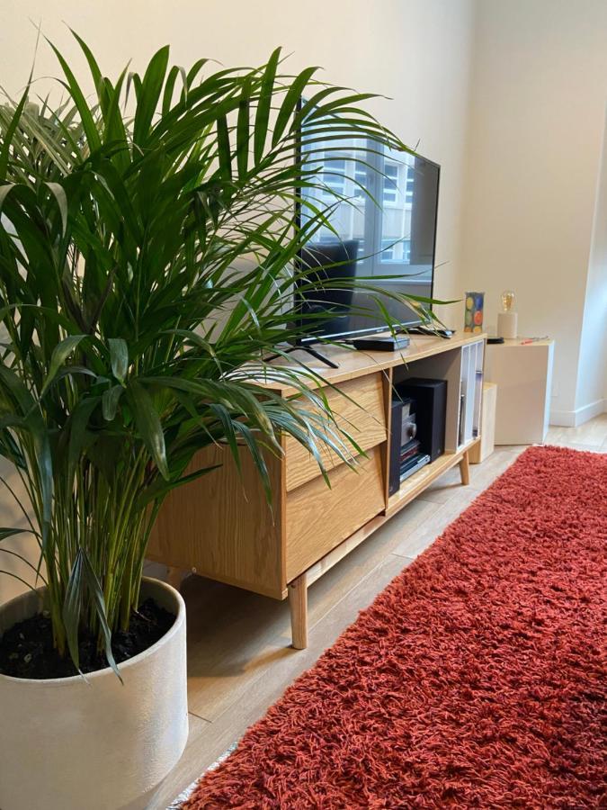 La Palmeraie - Appartement Classe 4 Etoiles - Hyper Centre Ville Quimper Exteriér fotografie
